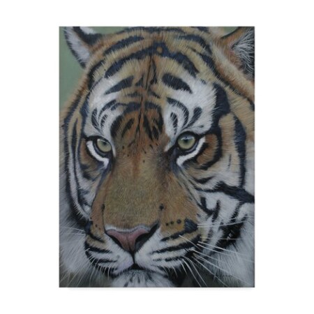 Trademark Fine Art